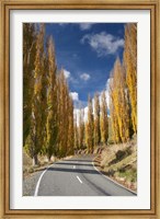 Autumn, Rangitikei District, North Island, New Zealand Fine Art Print