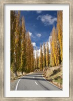 Autumn, Rangitikei District, North Island, New Zealand Fine Art Print