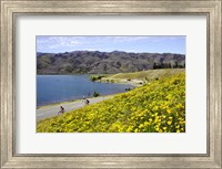 Californian Poppies and Cyclists, Lake Dunstan, South Island, New Zealand Fine Art Print
