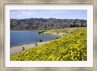 Californian Poppies and Cyclists, Lake Dunstan, South Island, New Zealand Fine Art Print