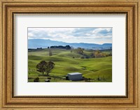 Farmland, Napier, Taihape Road, Hawkes Bay, North Island, New Zealand Fine Art Print