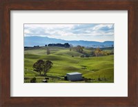Farmland, Napier, Taihape Road, Hawkes Bay, North Island, New Zealand Fine Art Print