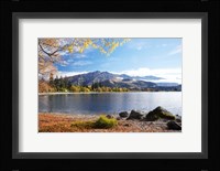 Glendhu Bay, Lake Wanaka, Otago, South Island, New Zealand Fine Art Print