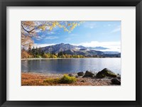 Glendhu Bay, Lake Wanaka, Otago, South Island, New Zealand Framed Print