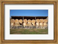 Hay Barn, Ahuriri Valley, North Otago, South Island, New Zealand Fine Art Print