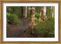 Kepler Track, Fjordland National Park, South Island, New Zealand Fine Art Print