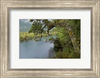 Mirror Lakes, Milford Road, Fiordland, South Island, New Zealand Fine Art Print