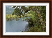 Mirror Lakes, Milford Road, Fiordland, South Island, New Zealand Fine Art Print