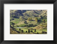 Farmland near Bells Junction, Rangitikei District, Central North Island, New Zealand Fine Art Print