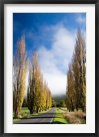 Autumn Colour and Wanganui, Raetihi Road, near Wanganui, North Island, New Zealand Fine Art Print