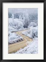 Hoar Frost and Road by Butchers Dam, South Island, New Zealand (vertical) Fine Art Print