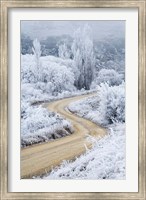 Hoar Frost and Road by Butchers Dam, South Island, New Zealand (vertical) Fine Art Print