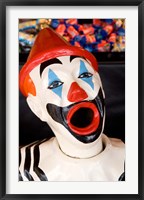 Laughing Clown, Bay of Plenty, North Island, New Zealand Framed Print