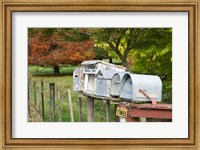 Letterboxes, King Country, North Island, New Zealand Fine Art Print