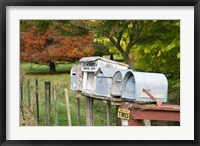 Letterboxes, King Country, North Island, New Zealand Fine Art Print