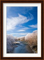 Manuherikia River and Hoar Frost, Ophir, Central Otago, South Island, New Zealand Fine Art Print