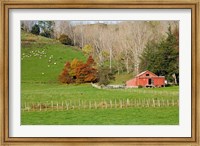 Wool Shed and Farmland, Kawhatau Valley, Rangitikei, North Island, New Zealand Fine Art Print