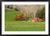 Wool Shed and Farmland, Kawhatau Valley, Rangitikei, North Island, New Zealand Fine Art Print