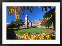The Clocktower, University of Otago, Dunedin, New Zealand Fine Art Print