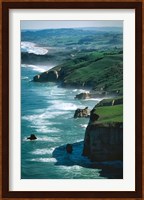 Dunedin Coast near Tunnel Beach, New Zealand Fine Art Print