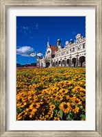 Historic Railway Station and field of flowers, Dunedin, New Zealand Fine Art Print
