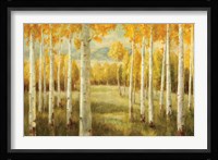 Aspens Fine Art Print