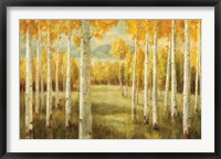 Aspens Fine Art Print
