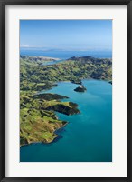 Akaroa Harbor, Canterbury, South Island, New Zealand Fine Art Print