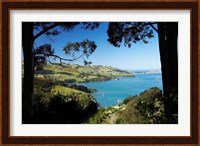 Careys Bay, Otago Harbour, South Island, New Zealand Fine Art Print