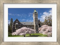 Clock Tower, Historical Registry Building and Spring Blossom, University of Otago, South Island, New Zealand Fine Art Print
