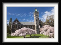 Clock Tower, Historical Registry Building and Spring Blossom, University of Otago, South Island, New Zealand Fine Art Print