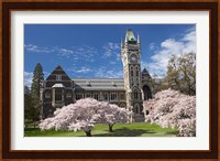 Clock Tower, Historical Registry Building and Spring Blossom, University of Otago, South Island, New Zealand Fine Art Print