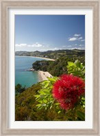 Coastline, Cooks Beach, North Island, New Zealand Fine Art Print