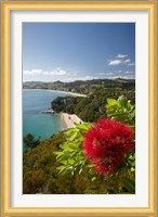 Coastline, Cooks Beach, North Island, New Zealand Fine Art Print