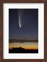 Comet McNaught, South Island, New Zealand Fine Art Print