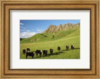 Cows and farmland below Te Mata Peak, Hawkes Bay, North Island, New Zealand Fine Art Print