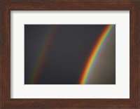 Double Rainbow, Dunedin, Otago, South Island, New Zealand Fine Art Print
