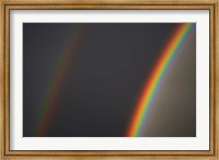 Double Rainbow, Dunedin, Otago, South Island, New Zealand Fine Art Print