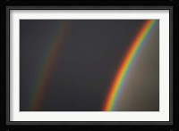 Double Rainbow, Dunedin, Otago, South Island, New Zealand Fine Art Print