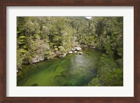 Falls River, Abel Tasman, South Island, New Zealand Fine Art Print