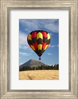 Hot Air Balloon, Wanaka, South Island, New Zealand Fine Art Print