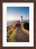 Lighthouse of Cape Reigna, Northland, New Zealand Fine Art Print