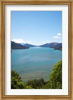 Mahakipawa Arm, South Island, New Zealand Fine Art Print