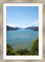 Mahakipawa Arm, South Island, New Zealand Fine Art Print