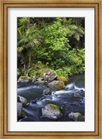 New Zealand, Hatea River, Whangarei Falls, Northland Fine Art Print