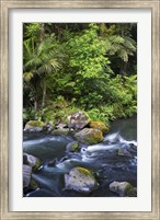New Zealand, Hatea River, Whangarei Falls, Northland Fine Art Print