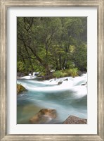 New Zealand, North Island, Rapids on Tarawera River Fine Art Print