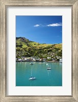 New Zealand, South Island, Canterbury, Akaroa Harbor Fine Art Print