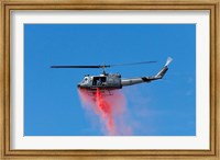 New Zealand, Warbirds Over Wanaka, Vintage Helicopter Fine Art Print