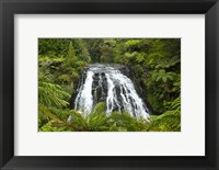 Owharoa Falls, Karangahake Gorge, Waikato, North Island, New Zealand Fine Art Print